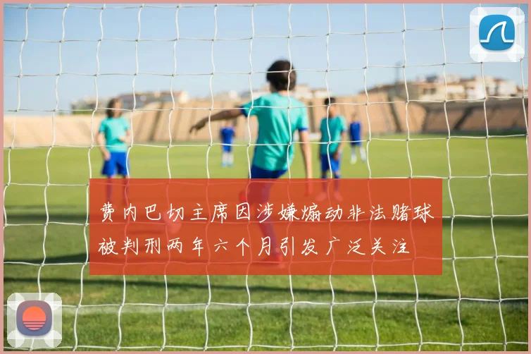 费内巴切主席因涉嫌煽动非法赌球被判刑两年六个月引发广泛关注
