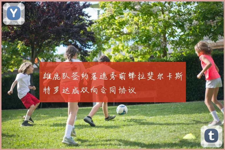 雄鹿队签约落选秀前锋拉斐尔卡斯特罗达成双向合同协议