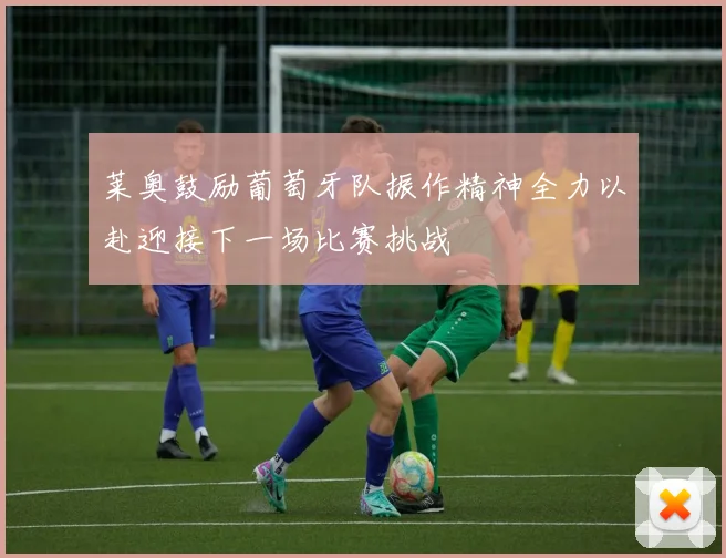 莱奥鼓励葡萄牙队振作精神全力以赴迎接下一场比赛挑战